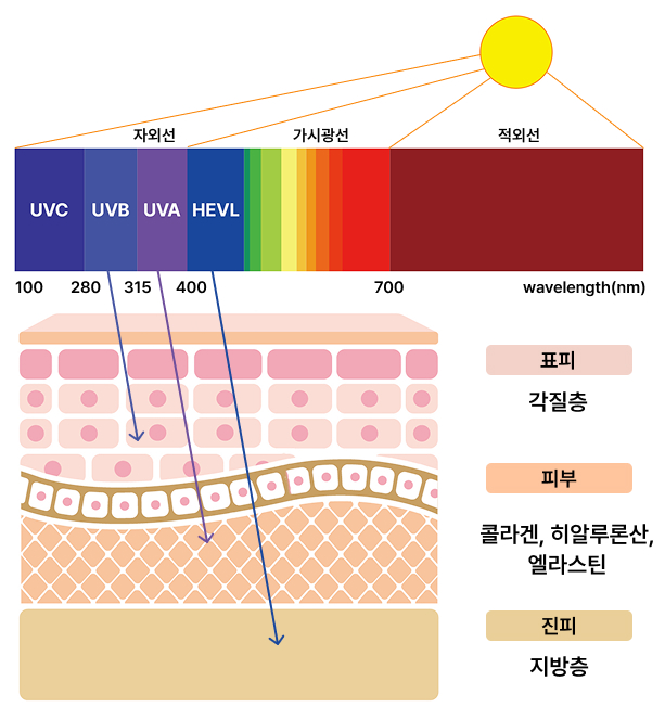 청색광이 피부에 미치는 영향 